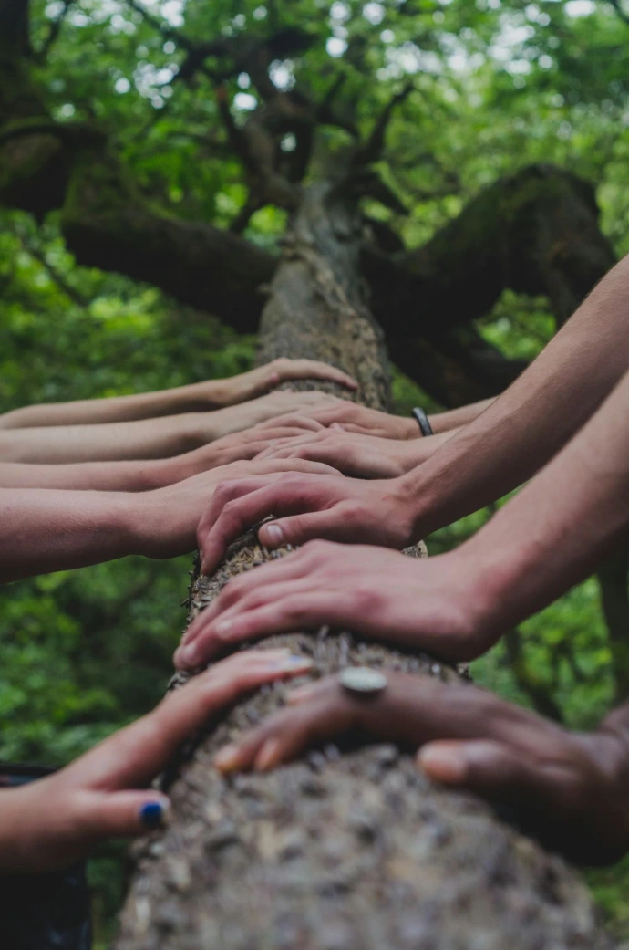 sekumpulan orang berganding tangan di atas pokok